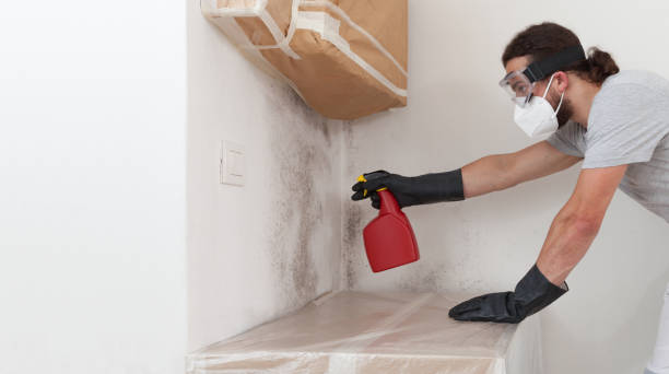 Professional Attic Mold Removal technician working in Harbor Springs, MI